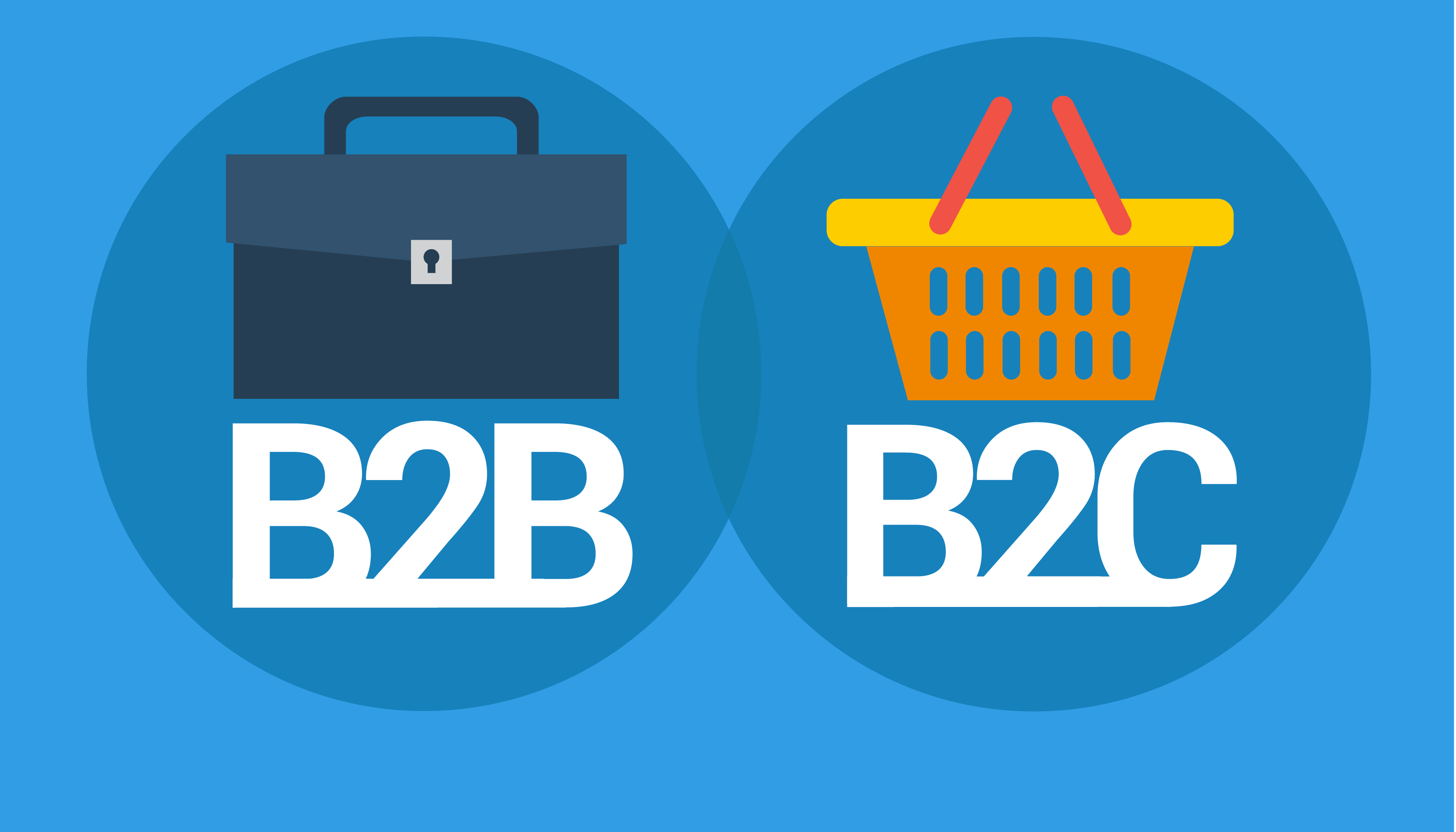 Sell Both B2B and B2C with WooCommerce - How to Set up a Hyb